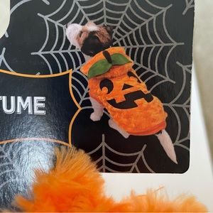 Pumpkin 🎃 Small Dog NWT Costume